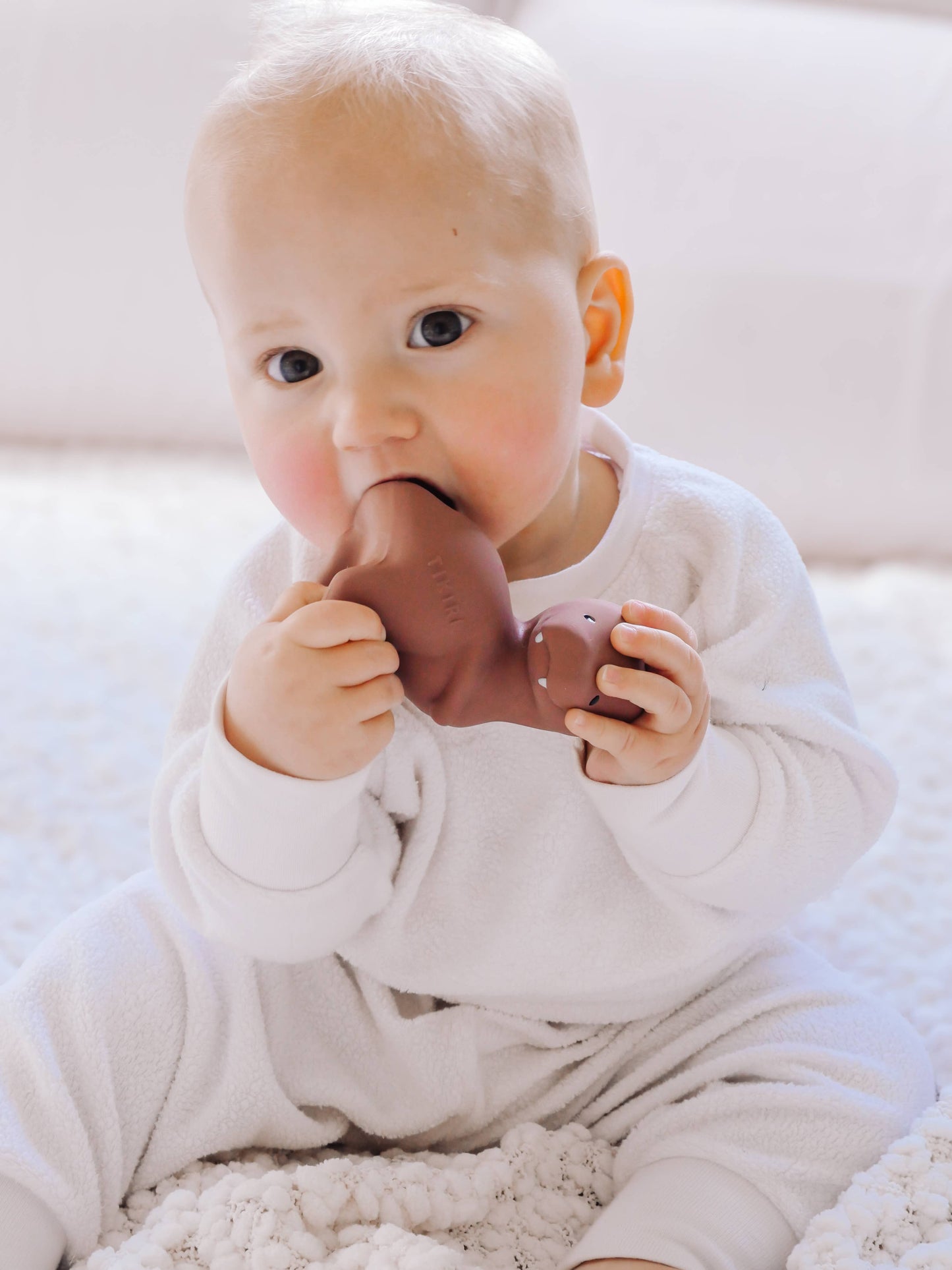 T-Rex Natural Rubber Teether, Rattle & Bath Toy