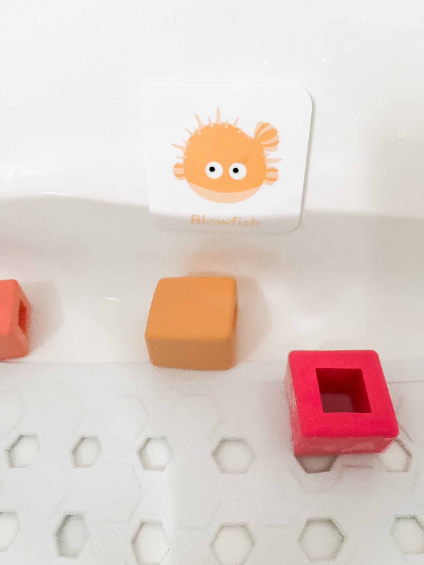 foam sea creature cards, Bath, Pool, Beach Waterproof Play Cards
