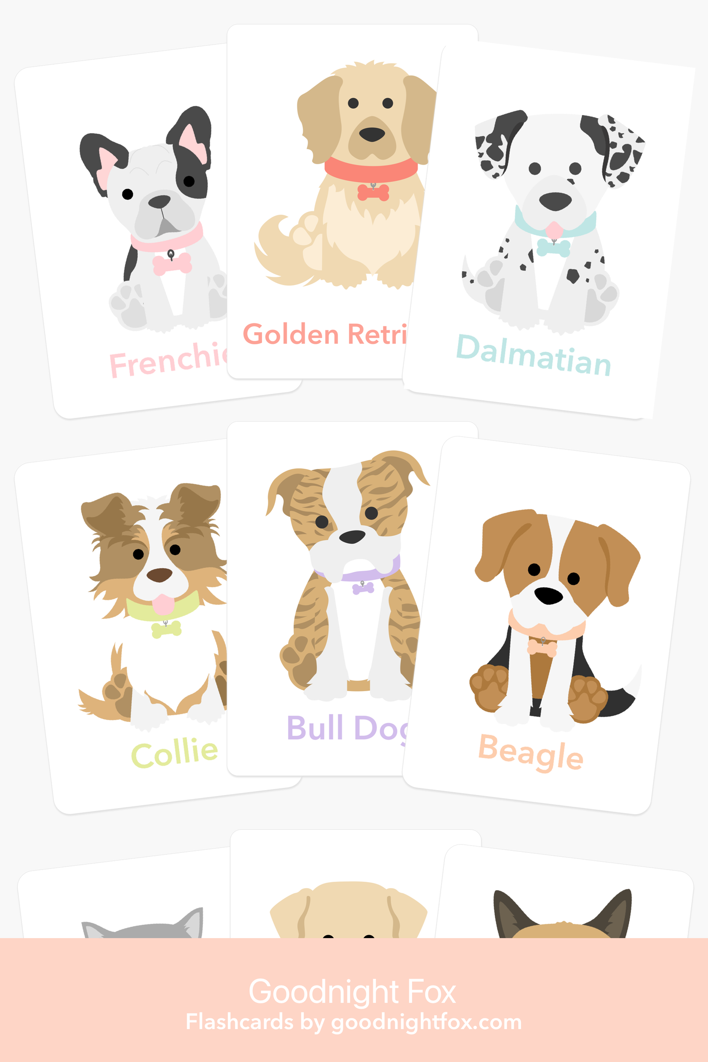 Dog Breed Children's Educational  Flash Cards