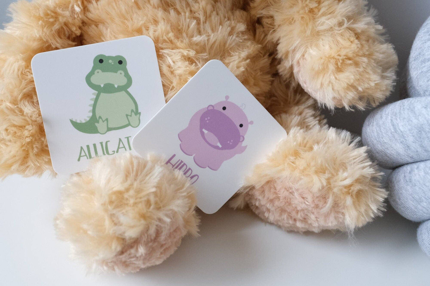Zoo Safari Animal Memory Game & Educational Toy for Toddler