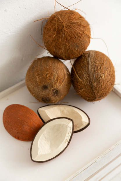 Coco the Coconut baby teether natural rubber