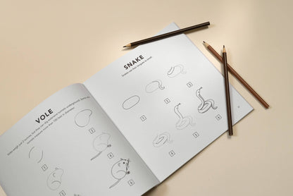 Mushrooms & Woodland Creatures: Kids How to Draw Book (fall)