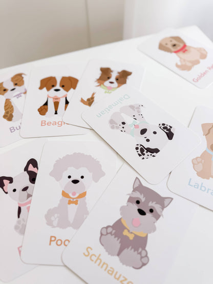 Dog Breed Children's Educational  Flash Cards