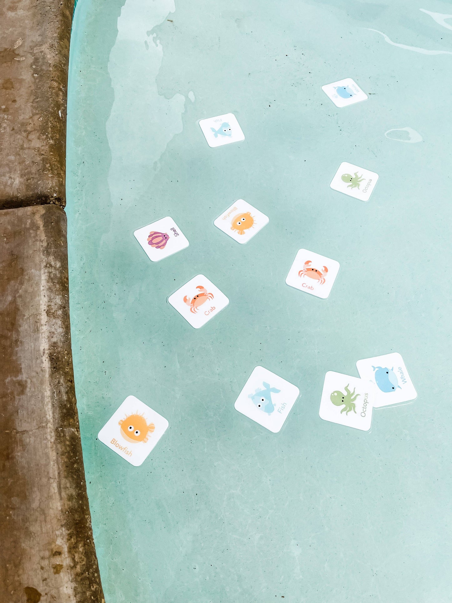 foam sea creature cards, Bath, Pool, Beach Waterproof Play Cards