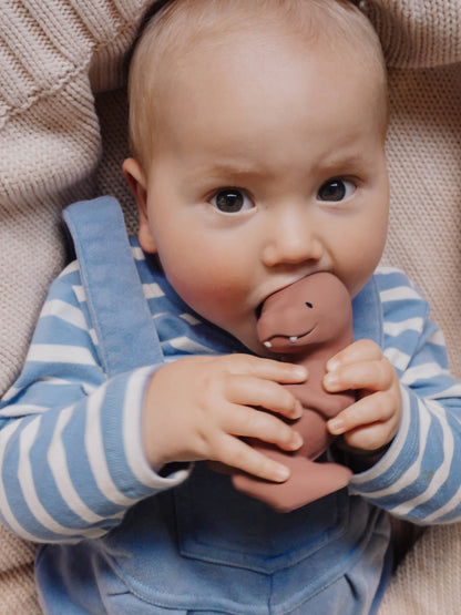 T-Rex Natural Rubber Teether, Rattle & Bath Toy