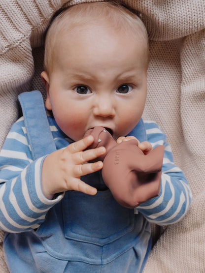 T-Rex Natural Rubber Teether, Rattle & Bath Toy