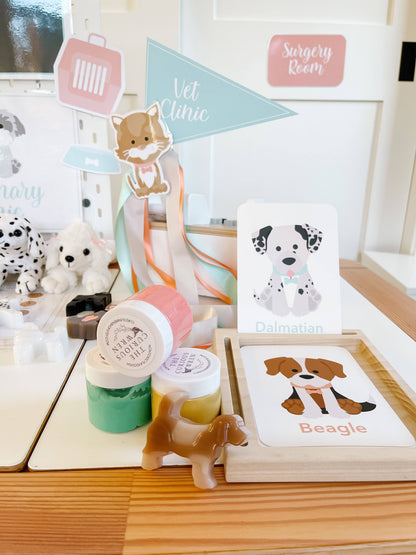 Dog Breed Children's Educational  Flash Cards