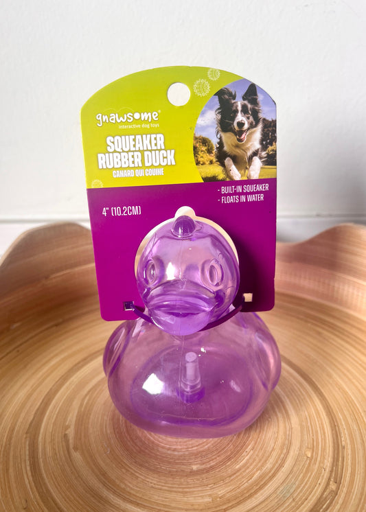 Squeaker Rubber Duck Gnawsome 4" water play dog toy purple