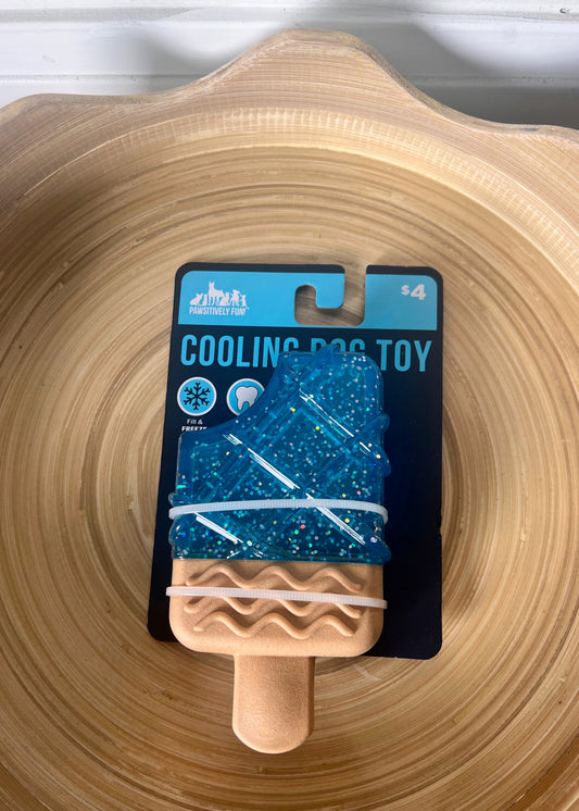 Positively Fun Cooling Dog Toy Fill & Freeze Clear Blue Popsicle