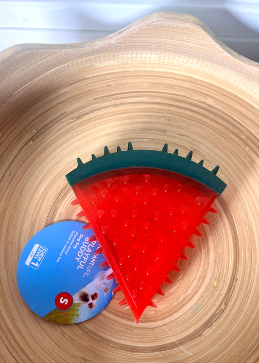 vibrant life playful buddy watermelon dog chew toy level 1 small