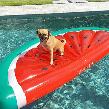 Watermelon Inflatable Pool Float