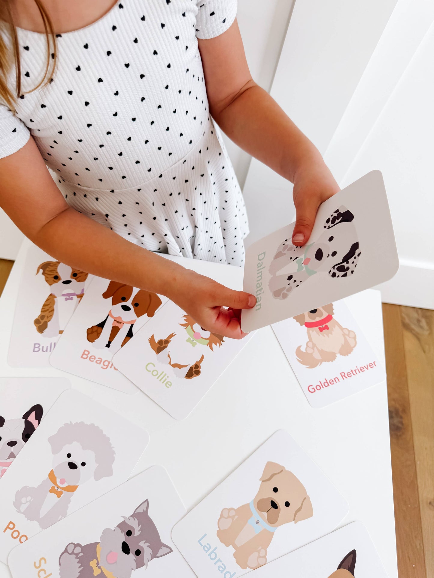 Dog Breed Children's Educational  Flash Cards