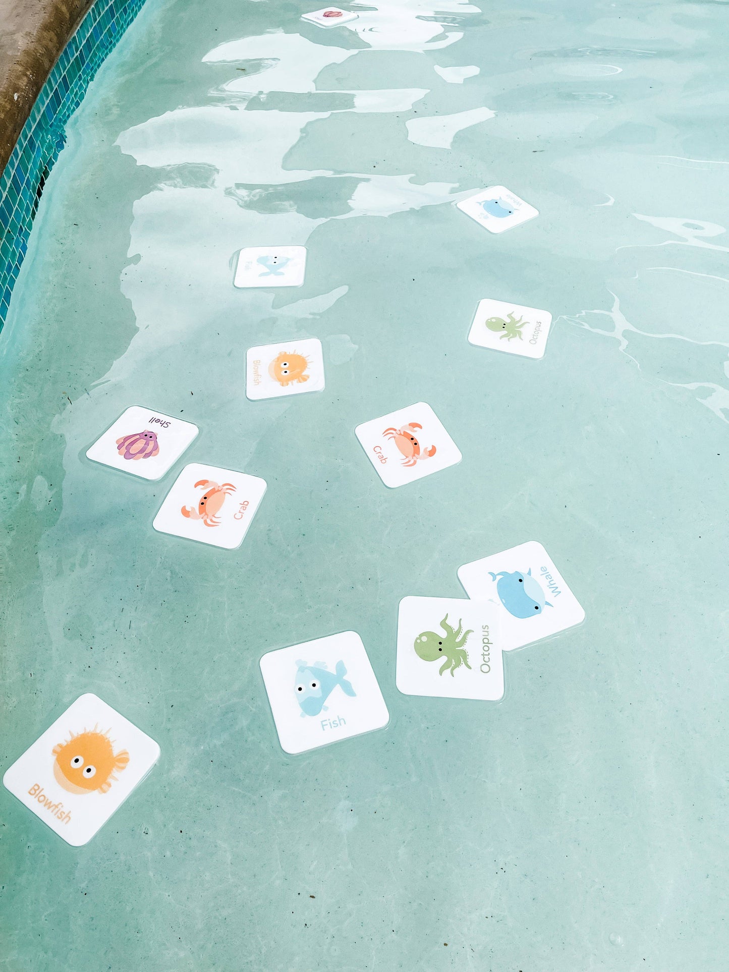 foam sea creature cards, Bath, Pool, Beach Waterproof Play Cards