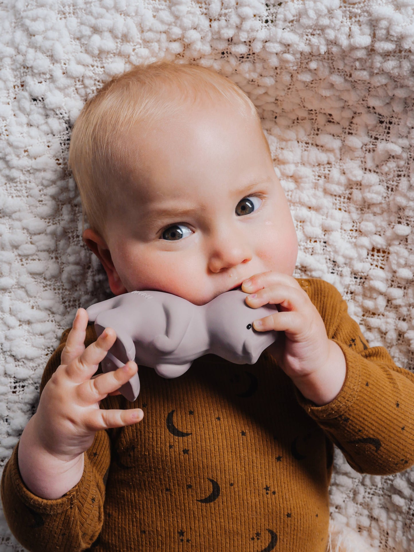 Para Dinosaur Natural Rubber Teether, Rattle & Bath Toy