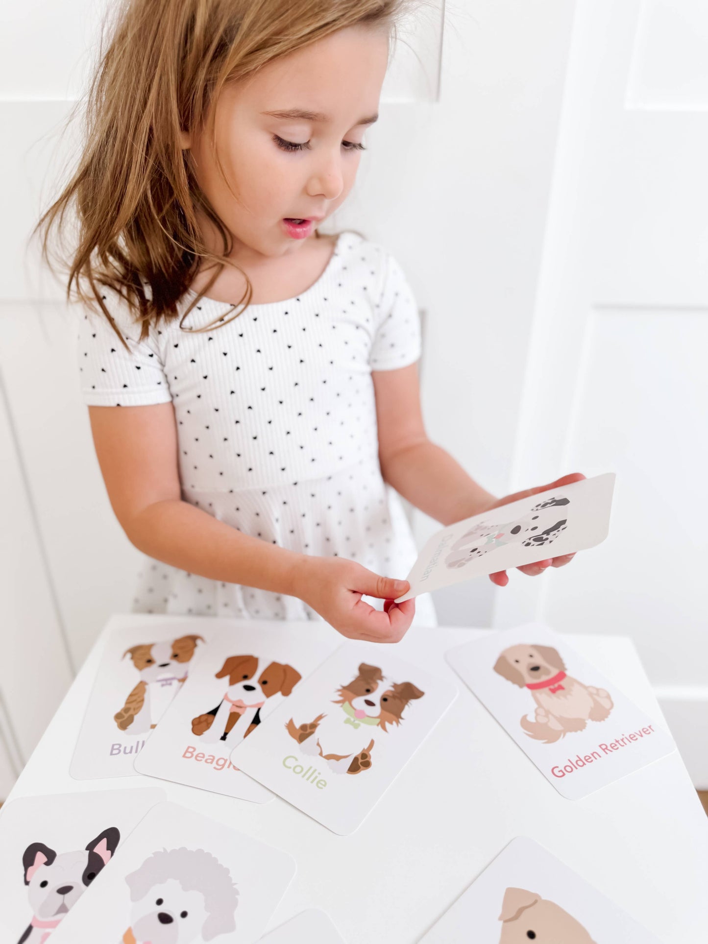 Dog Breed Children's Educational  Flash Cards