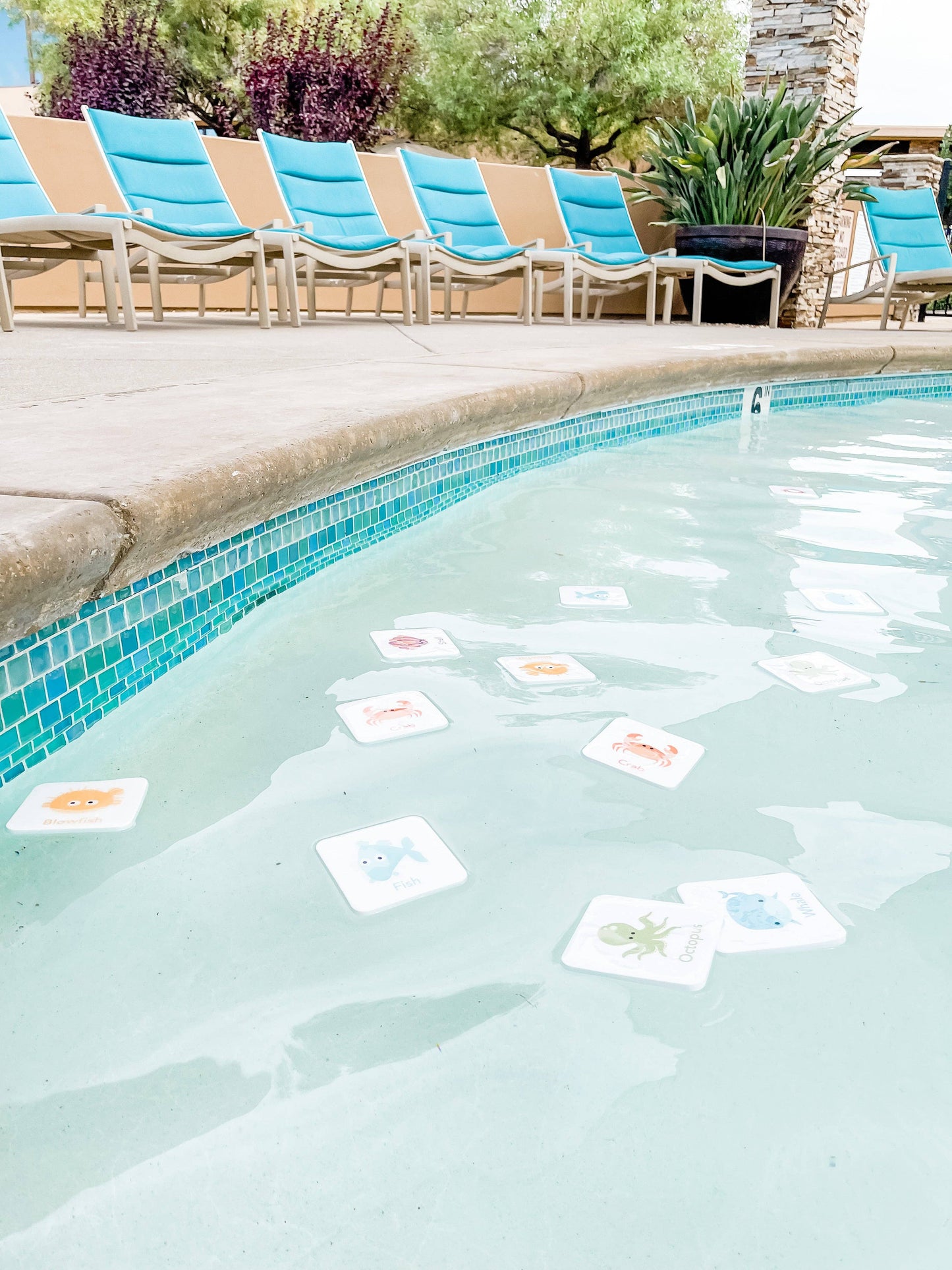 foam sea creature cards, Bath, Pool, Beach Waterproof Play Cards