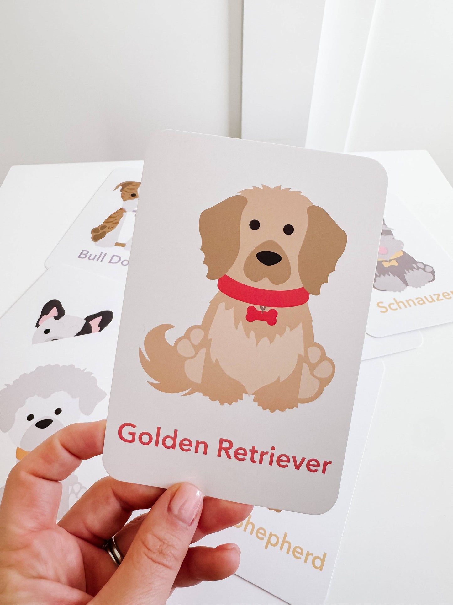 Dog Breed Children's Educational  Flash Cards