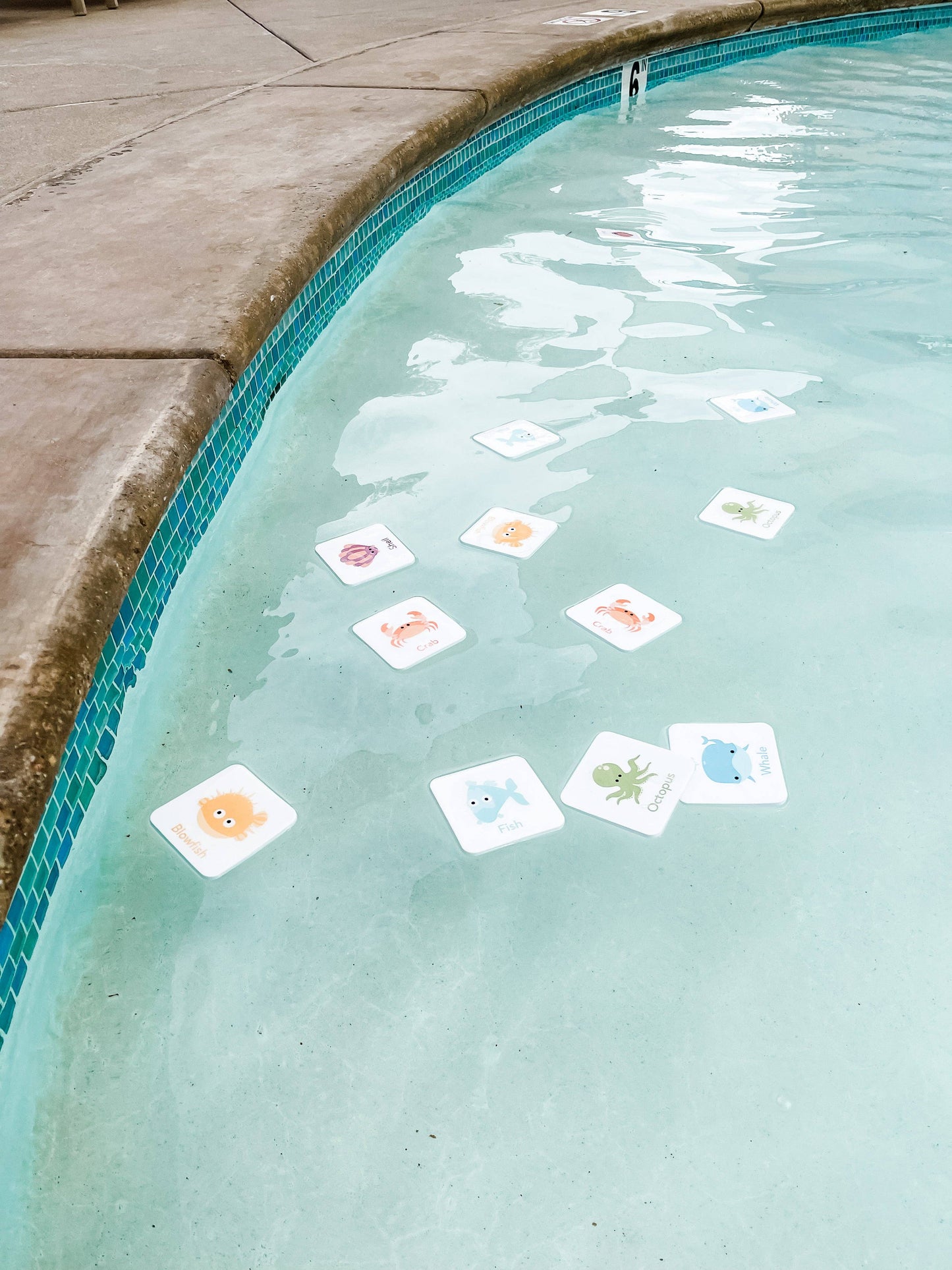 foam sea creature cards, Bath, Pool, Beach Waterproof Play Cards